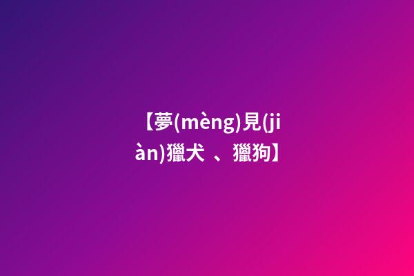 【夢(mèng)見(jiàn)獵犬、獵狗】